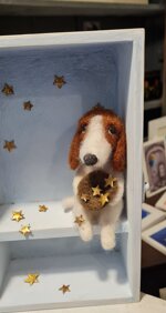 il-mendicante-di-stelle