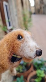 milo-cercatore-di-storie