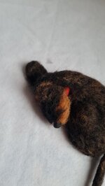 bassotto-dormiglione