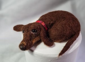 20260317_173923.jpeg 20260317_173923.jpeg