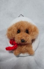 barboncino-in-cornice-ovale-piccola