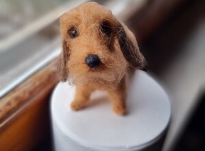 20251029_142338.jpeg 20251029_142338.jpeg