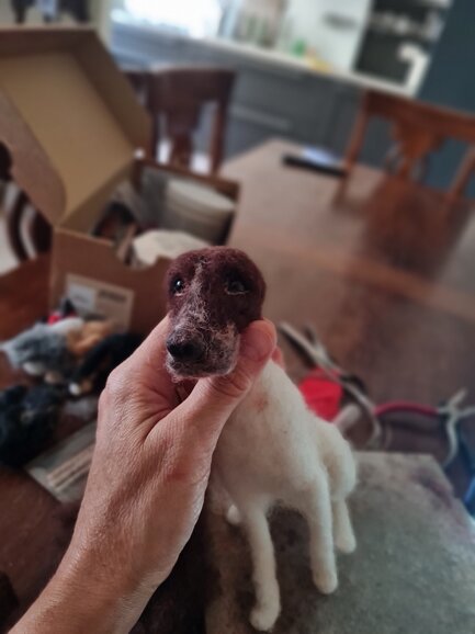 20250804_190239.jpeg 20250804_190239.jpeg