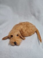 bassottino-foglia-secca-accoccolato