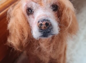 20251215_171051.jpeg 20251215_171051.jpeg