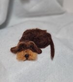 bassottino-cioccolato-accoccolato