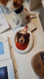 orso-in-cornice