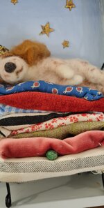 la-principessa-sul-pisello-the-princess-and-the-pea