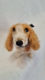 milo-cercatore-di-storie