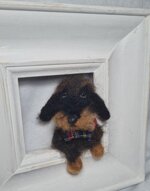 bassotto-in-cornice-grande