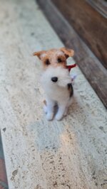 fox-terrier