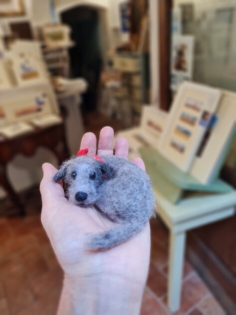 20250803_105834.jpeg 20250803_105834.jpeg