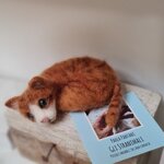 gattino-rosso-accoccolato