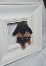 bassotto-in-cornice-grande