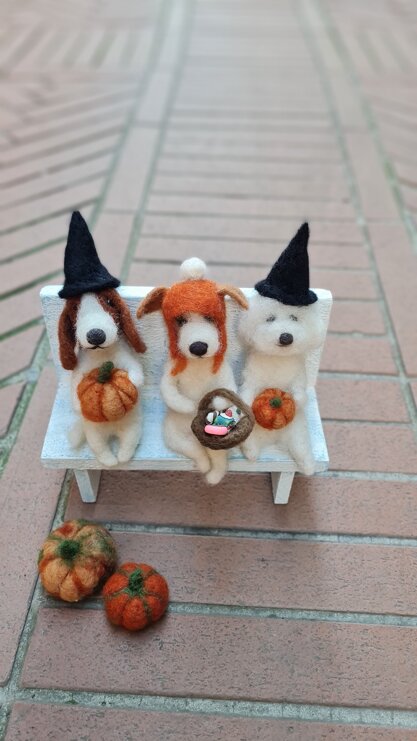 20241031_134936.jpeg 20241031_134936.jpeg