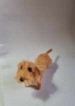 bassotto-foglia-secca