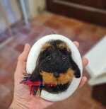 bassottino-in-cornice-bianca-piccola