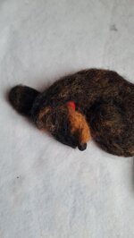 bassotto-dormiglione