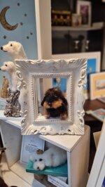 bassotto-in-cornice-vintage