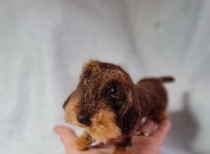 20260216_180720.jpeg 20260216_180720.jpeg