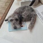 piccolo-deerhound-addormentato-small-sleeping-deerhound