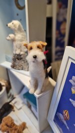 fox-terrier