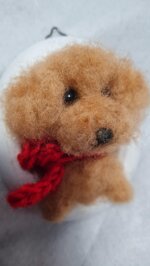 barboncino-in-cornice-ovale-piccola