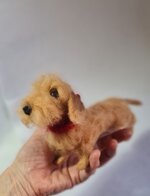 bassotto-foglia-secca