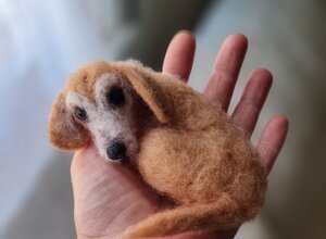 20250218_085047.jpeg 20250218_085047.jpeg