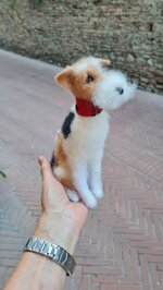 fox-terrier