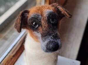 20241204_121907.jpeg 20241204_121907.jpeg