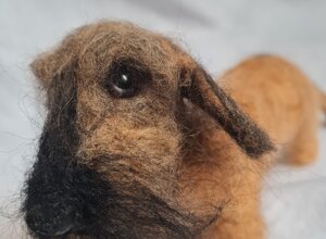 20250401_183546.jpeg 20250401_183546.jpeg