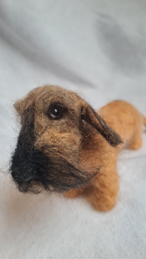 20241213_141016.jpeg 20241213_141016.jpeg