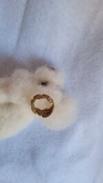 barboncino-accoccolato-con-coroncina