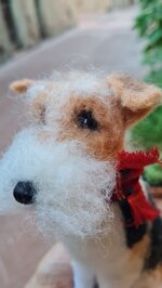 fox-terrier