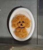 barboncino-in-cornice