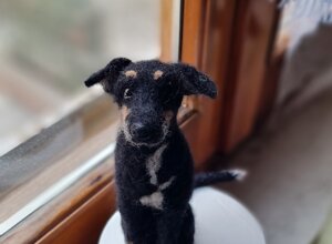 20251201_165312.jpeg 20251201_165312.jpeg