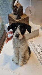 cagnolino-pezzato
