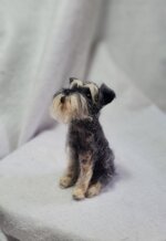 schnauzer