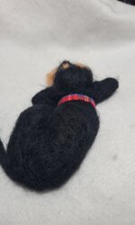 bassotto-accoccolato-nero