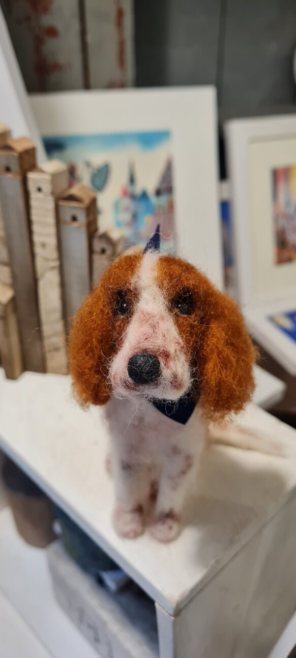 20250219_105942.jpeg 20250219_105942.jpeg