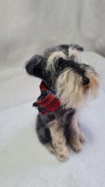 schnauzer