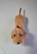 bassotto-foglia-secca