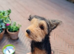 20250702_133356.jpeg 20250702_133356.jpeg