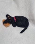 bassotto-accoccolato-nero