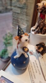 rubi-il-cercatore-di-stelle-rubi-the-star-seeker