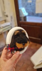 bassottino-in-cornice-bianca-piccola