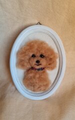 barboncino-in-cornice