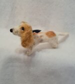 milo-cercatore-di-storie