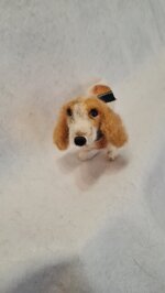 milo-cercatore-di-storie